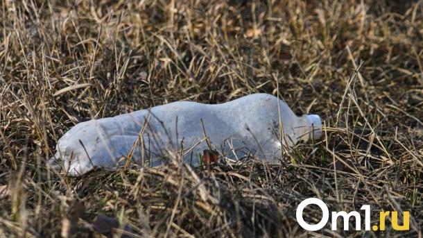 В Омской области выделили 112 миллионов на ликвидацию 40 свалок