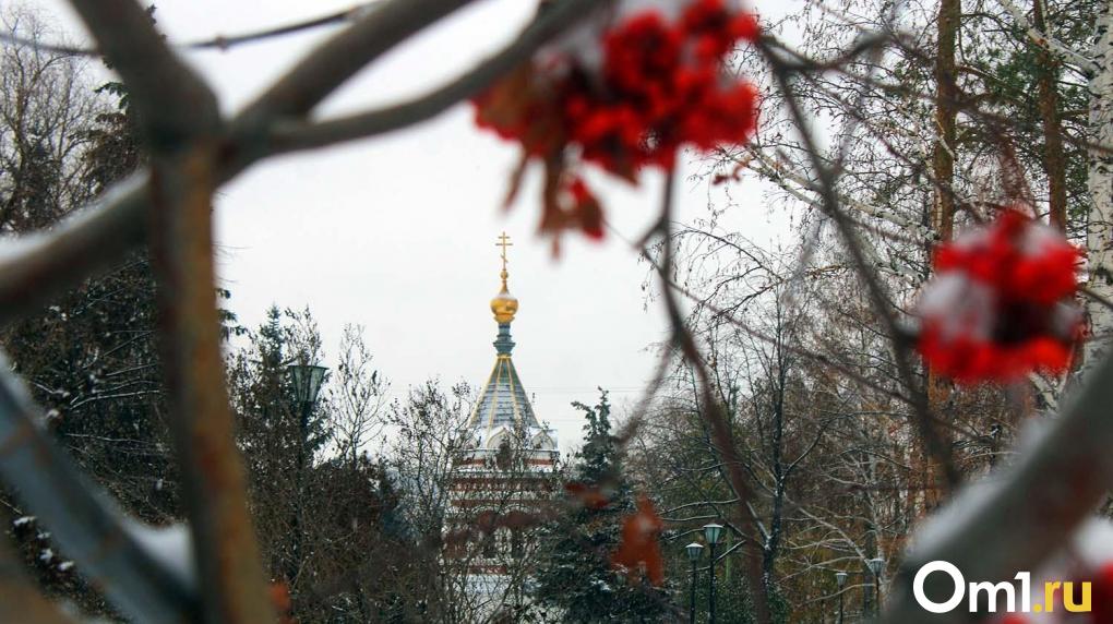 Сильный ветер и гололёд: в Омске снова будет бушевать непогода