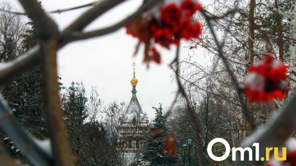 Сильный ветер и гололёд: в Омске снова будет бушевать непогода