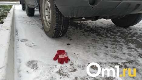 В прошлом году с места ДТП скрылись 239 омских водителей, 100 не нашли