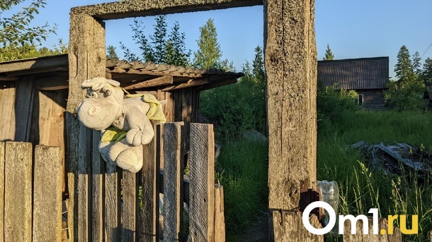 Караулил детей, чтобы удовлетворить себя. В Омской области поймали очередного педофила