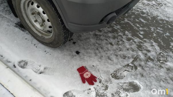 Пытались заманить в машину: цыгане напугали ребёнка под Новосибирском