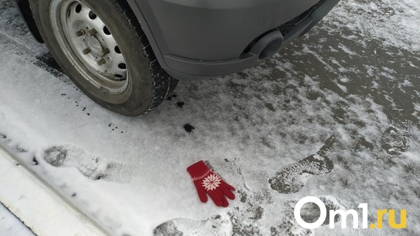 Пытались заманить в машину: цыгане напугали ребёнка под Новосибирском