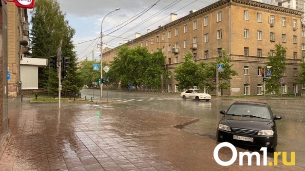 Дожди и похолодание: синоптики составили прогноз погоды на неделю в Новосибирске