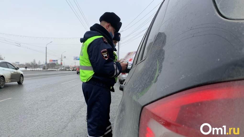 Пьяный водитель из Омска испугался полиции и прикинулся пешеходом