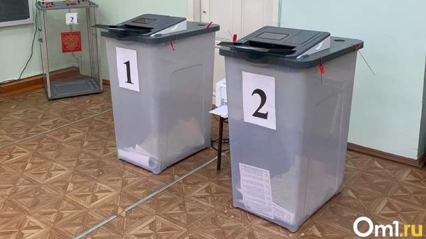 Голосование на выборах губернатора в Новосибирской области может пройти в электронном формате