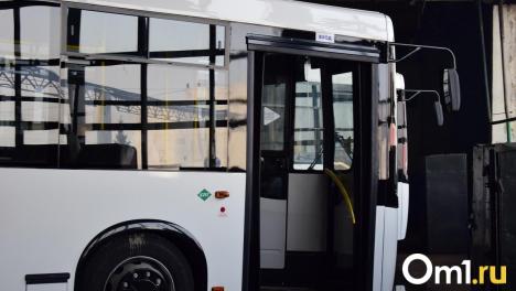 В Новосибирске увеличат количество автобусов на маршруте № 95: сколько автобусов выйдут в город?