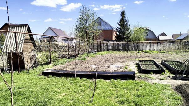 Стабильный интернет и на даче. МТС прокачала связь в новосибирских СНТ