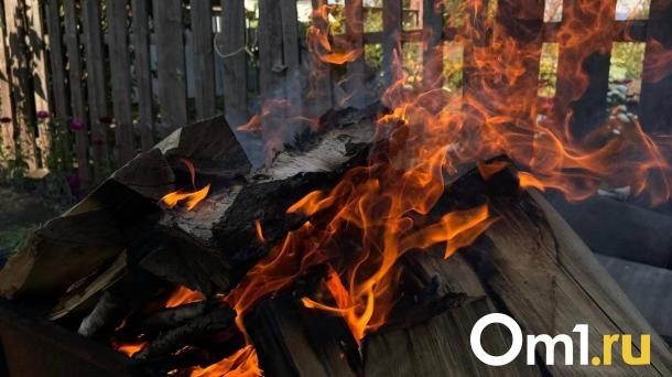 В Омской области резко выросли цены на дрова