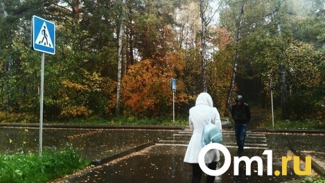 В пятницу, 13-го: резко похолодает до -4 градусов и пойдут дожди в Новосибирске