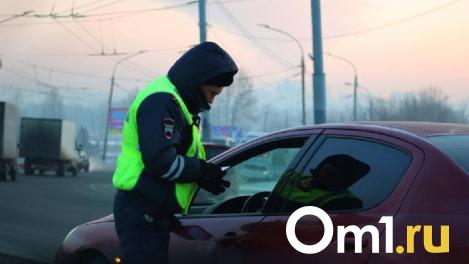 В Омске пьяный водитель матерился на автоинспекторов и попал под арест