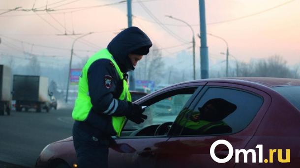 В Омске пьяный водитель матерился на автоинспекторов и попал под арест