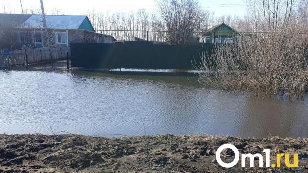 Угроза стихии отступила: в Омской области отменён режим повышенной готовности