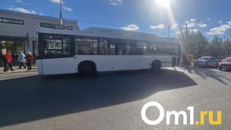 В Амуре автобус сбил пенсионерку, переходившую на красный