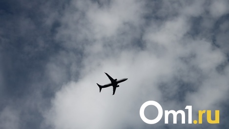 Омичи смогут летать в Узбекистан дешевле, чем эконом-классом