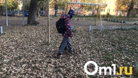 «Ходим с диктофонами, не знаем, где искать защиту»: омские учителя рассказали о травле детьми и их родителями