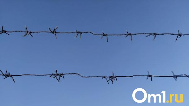 Омский пенсионер проткнул лёгкое своему приятелю