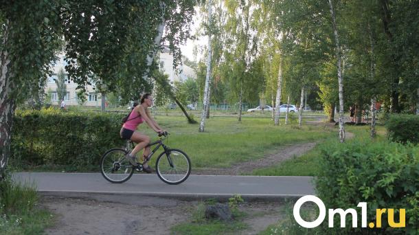 В Омске планируют отремонтировать велосипедную дорожку вдоль Иртыша