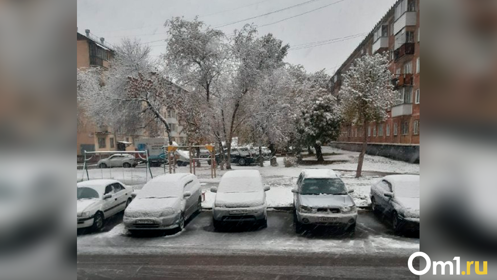 Омск выпал снег. Первый снег в Новосибирске. Первый снег в городе. Снегопад в Омске. Снегопад в городе фото.