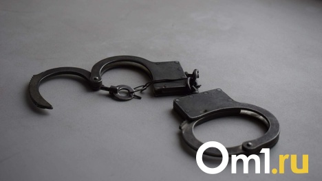 Глава сельсовета в Новосибирской области пойдёт под суд за незаконное использование электроэнергии