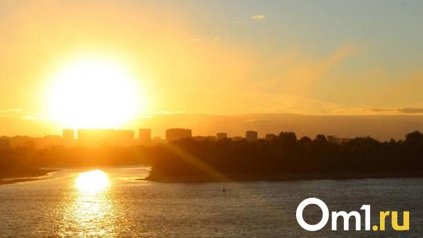 В первый день лета в Омскую область придёт новая напасть