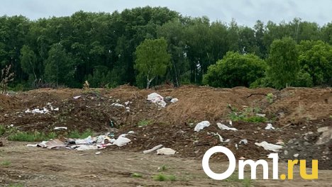 Свалка возле о. п. Репьёво возмутила новосибирских дачников