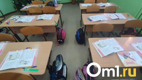 Четверо детей не смогли попасть в омские школы из-за проблем с русским языком