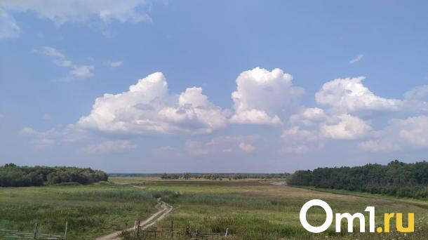 В лесу Азовского района нашли «аномальное» место