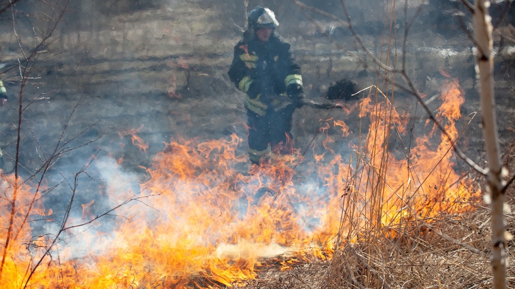 Угроза катастрофы? Новосибирская область бьёт рекорды по количеству природных пожаров