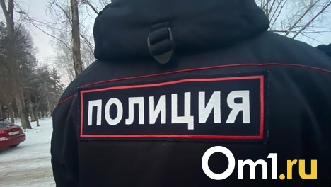 14-летнего школьника нашли повешенным под Новосибирском
