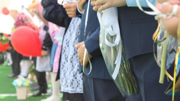 Серая или синяя? Новый ГОСТ оставил родителям новосибирских школьников головную боль