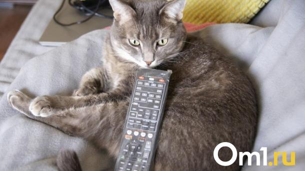 Жители всей Омской области больше двух недель не смогут посмотреть телевизор