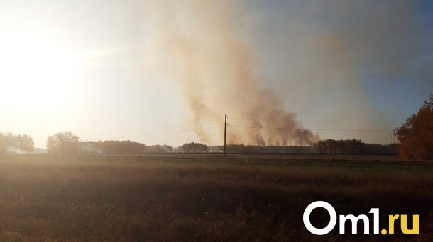 На севере Омской области люди задыхаются из-за тлеющей свалки