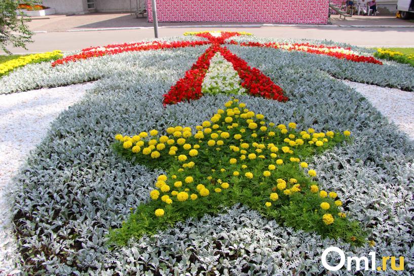 Изображение фоторепортажа