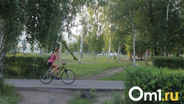 В Омске насчитали почти 27 километров велодорожек