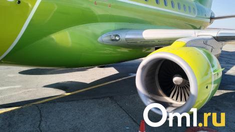 Пилот, посадивший самолёт Сочи – Омск в пшеничном поле, сейчас работает таксистом