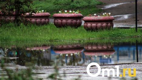 В Новосибирске 14 августа обещают тёплый день с дождями и грозами