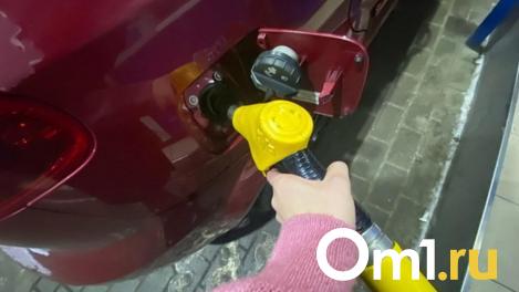 В Омске цены на бензин подскочили от 15 копеек до рубля