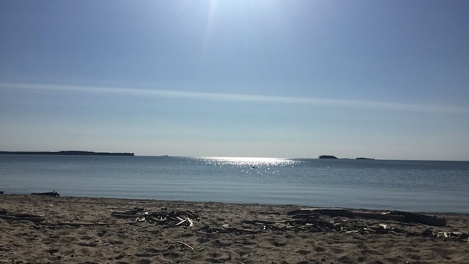 Более 30 санаториев и баз отдыха на берегу новосибирского Обского моря встретят туристов летом этого года