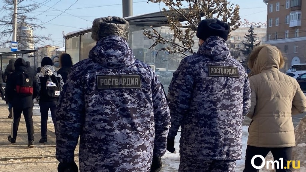 Нетрезвую автоледи без прав задержали в Омской области