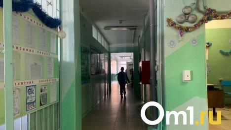 Бастрыкин заинтересовался избиением мальчика в омской школе