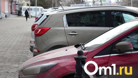 Охота на катализаторы. Омич взял напрокат два автомобиля, чтобы снять с них запчасти