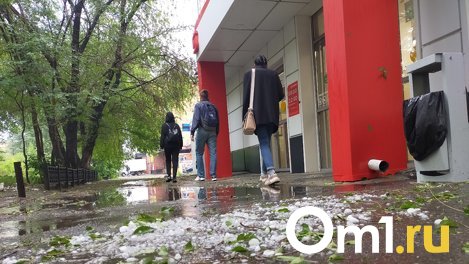 На Омск надвигается грозовой ливень и ветер до 25 м/с
