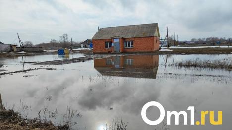 Трём омским районам, пострадавшим от паводка, выделили 12 миллионов