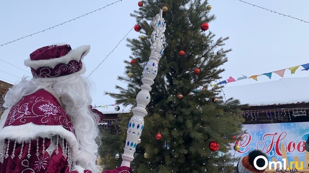 До 5 000 за 20 минут волшебства: опубликованы цены на вызов Деда Мороза в Омске