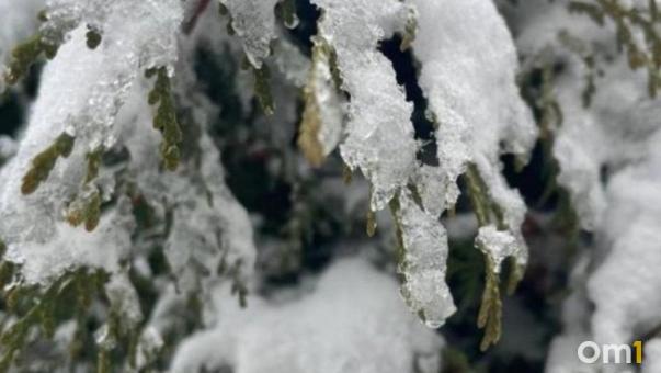 По примеру соседей. До Омска дошла мода на «членовиков»