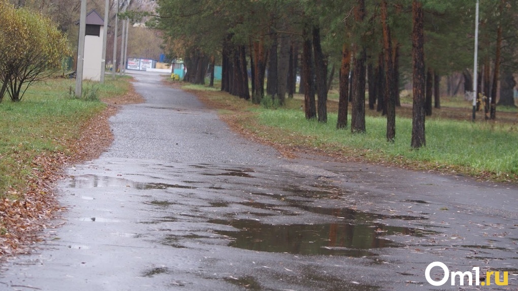 «Чего ждём?»: губернатор Новосибирской области Андрей Травников потребовал отремонтировать ямы на дорогах