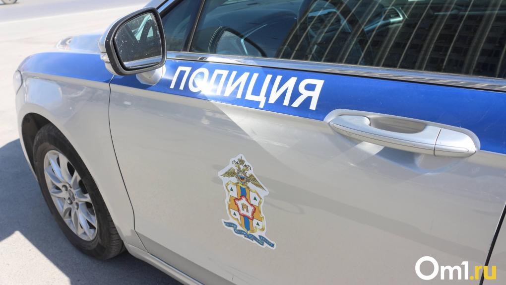 В Омске сбили девочку, вычкочившую на дорогу прямо перед машиной