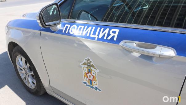 В Омске сбили девочку, вычкочившую на дорогу прямо перед машиной