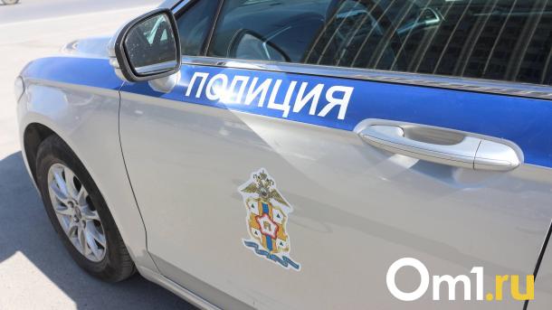 В Омске сбили девочку, вычкочившую на дорогу прямо перед машиной